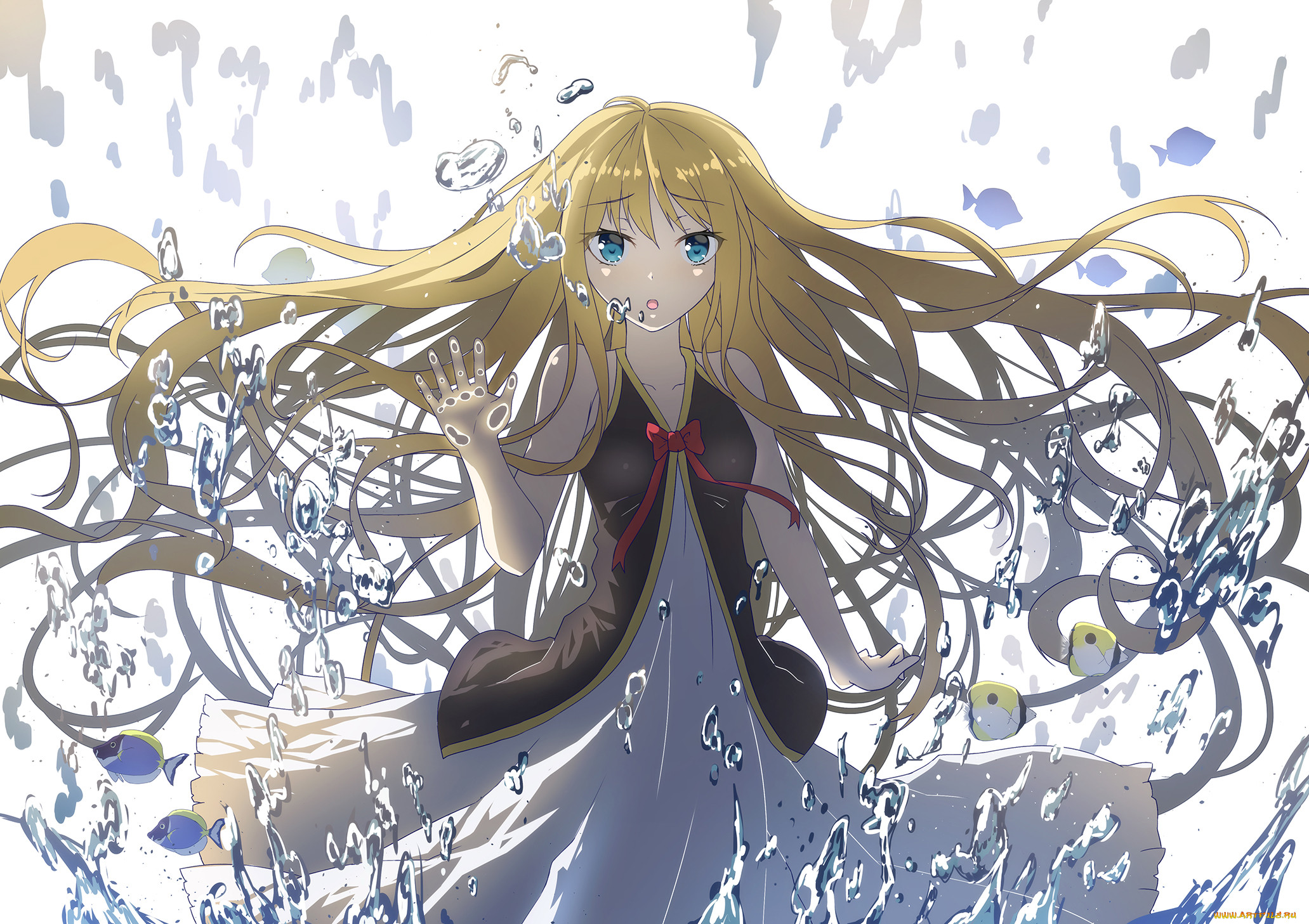 , unknown,  , , , , , , , toritori, yakitoriya